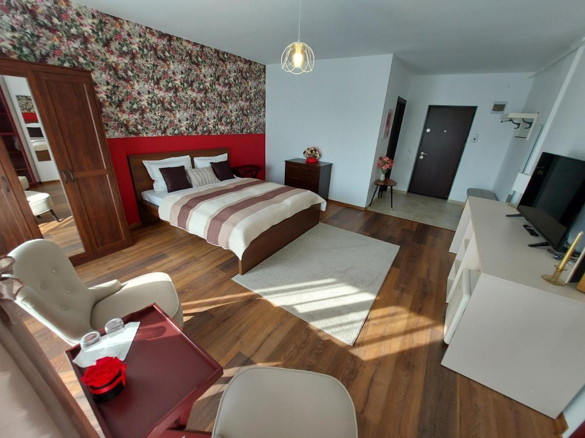 Anca's Style Apartment *