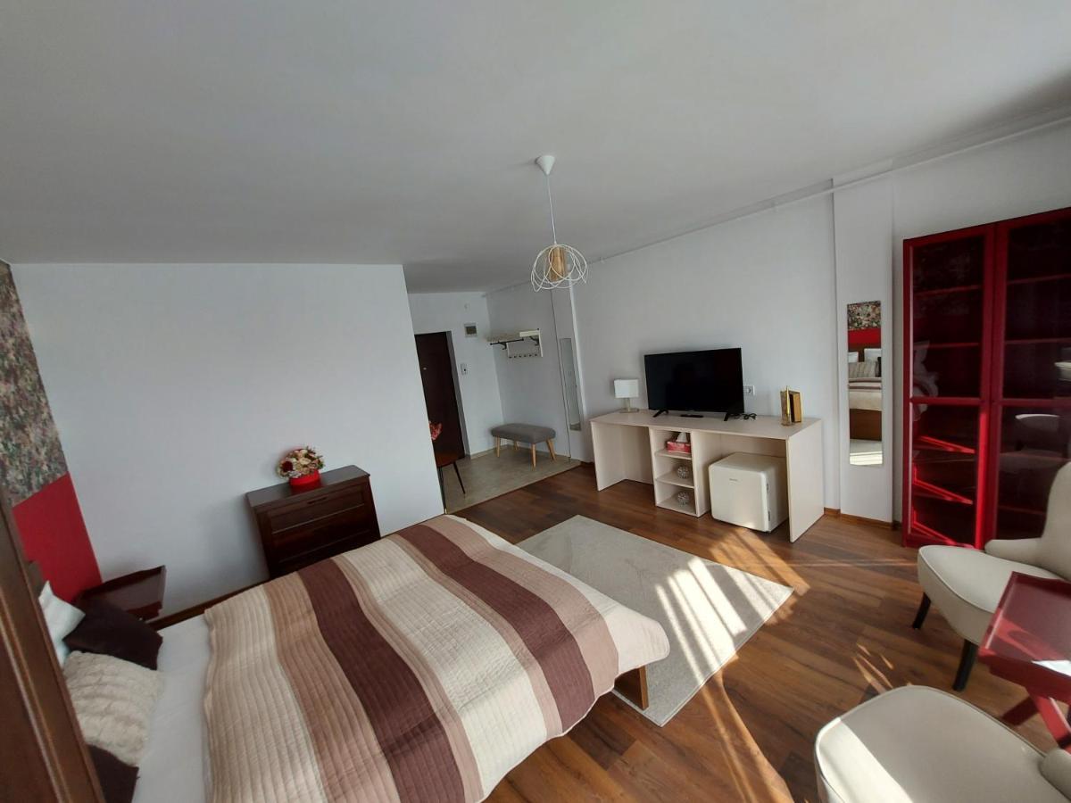 Anca's Style Apartment *