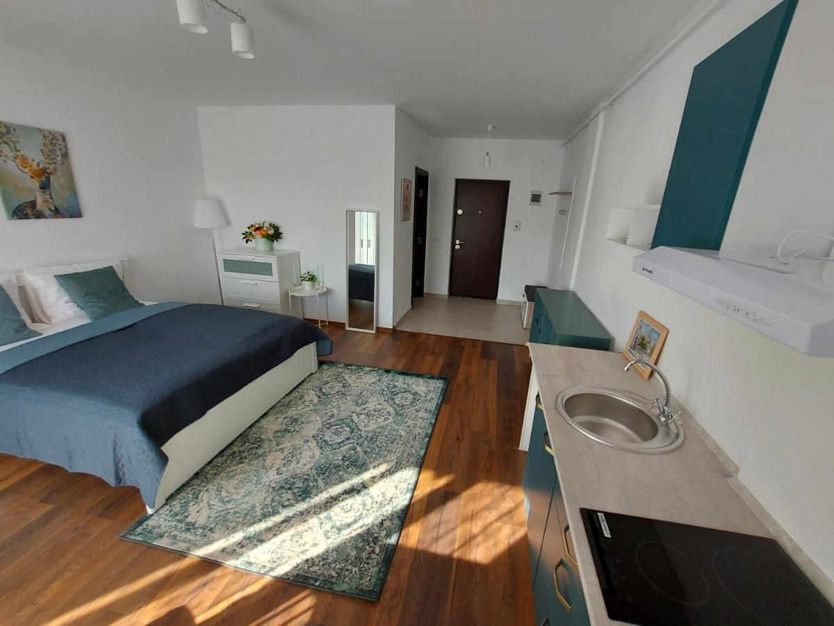 Anca's Style Apartment *