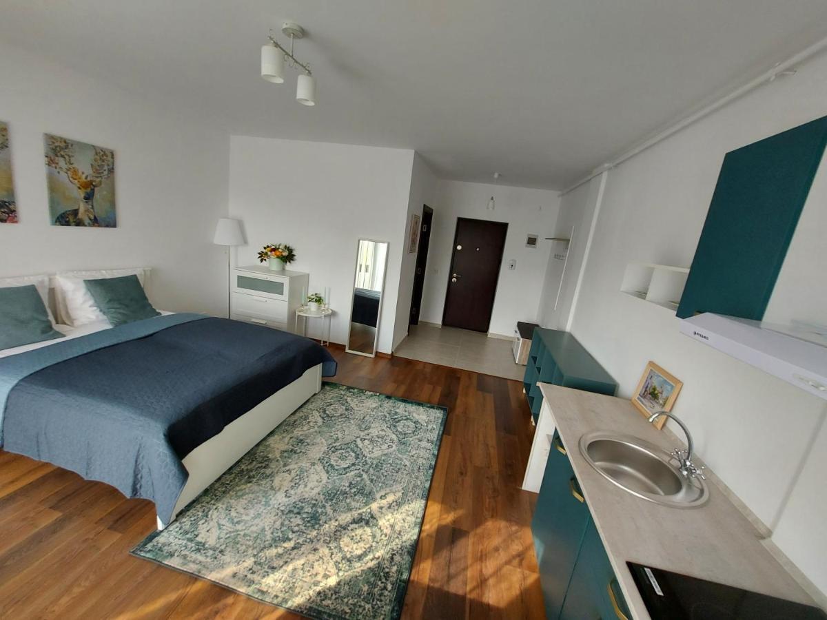 Apartment Anca's Style Codlea