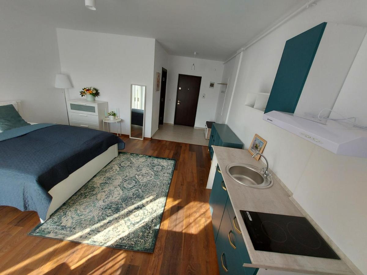 Anca's Style Apartment *